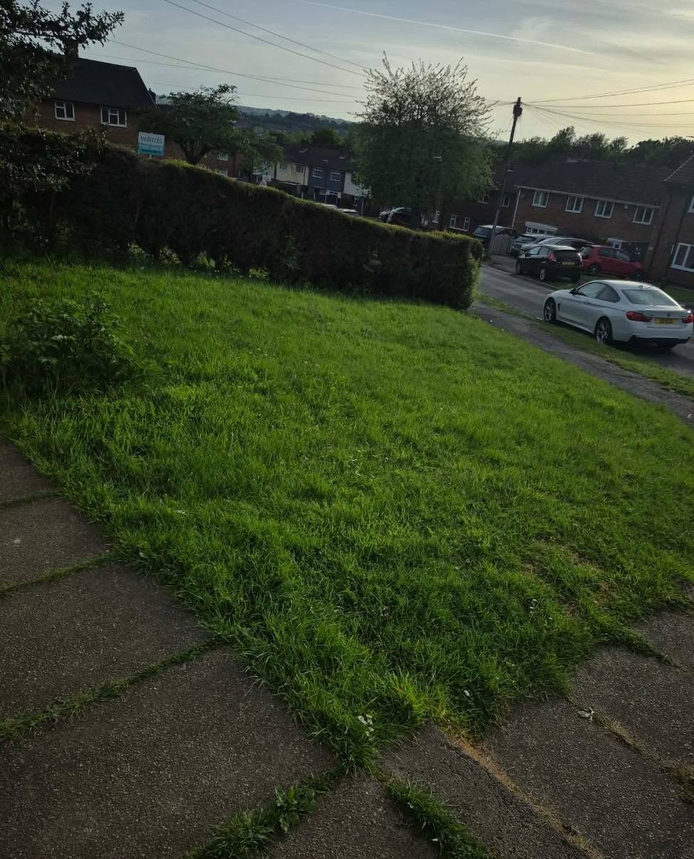 Overgrown lawn before garden tidy in Chesterfield
